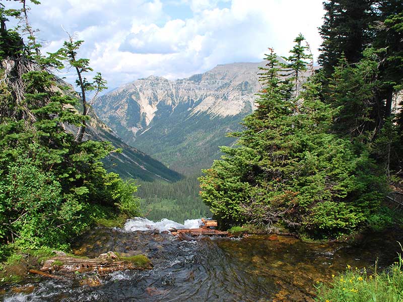 A photo of a stream over looking Waterton Valley